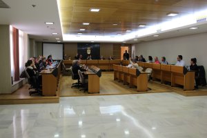 Votación realizada por parte de la corporación municipal durante la sesión plenaria celebrada este martes.