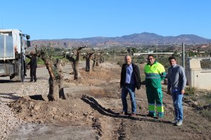 Alcalde y concejal visitan la zona de la Vía Verde donde se plantan una parte de los olivos.