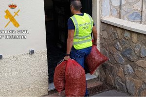 Agente de la Guardia Civil durante la intervención.
