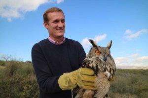 Uno de los búhos puestos en libertad.