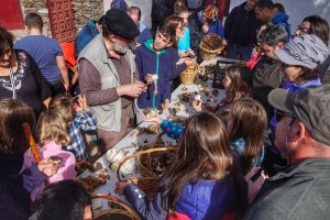 Mesa para identificar algunas de las setas recolectadas.