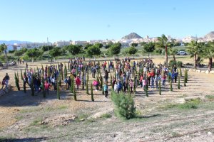 Plantación de 150 cipreses en el Parque de la Rambla por los alumnos de los colegios.