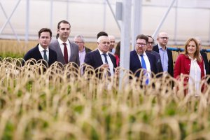 Sánchez Haro y los alcaldes de Almería, El Ejido y Níjar en el semillero