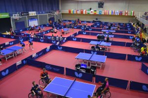 Palacio Mediterráneo.