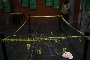 Una escena de la exposición sobre la literatura policíaca instalada en la Biblioteca Central de El Ejido.