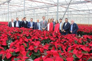 El sector que ha aumentado sus ventas al exterior un 36%.