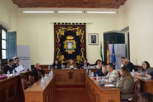 Sesión plenaria celebrada en Níjar.