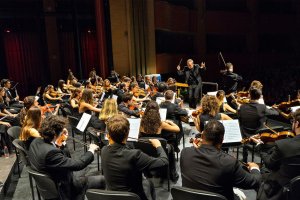 La Orquesta de la UAL en uno de sus conciertos.