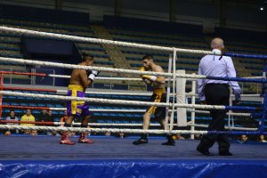 Velada en el Palacio.