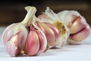 Coopaman es una de las principales productoras europeas de ajo morado.