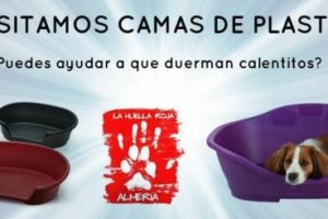 Necesitan camas de plástico de tamaño grande.