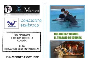 Cartel del concierto benéfico.