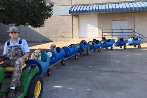 Eugene Bostick paseando en el tren a los perros.