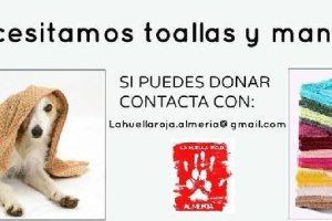 Imagen de la campaña de recogida de mantas y toallas.