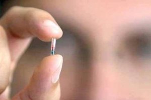 Así es un microchip común.