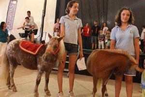 Participantes del Concurso de Mascotas de una edición anterior.