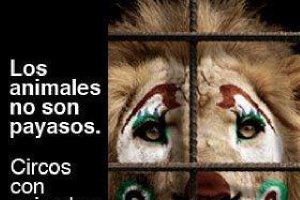 Una de las imágenes de la campaña de Equinac.