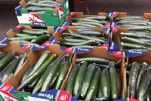 Las hortalizas se han distribuido en 39 provincias españolas.