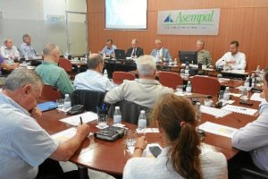 El consejero de Asempal o,469px);}</s