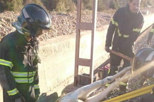 Un momento del rescate de la yegua.