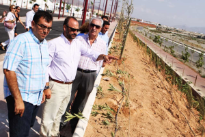 Amizián, Luis Rogelio y Megino en los Juegos Mediterráneos.