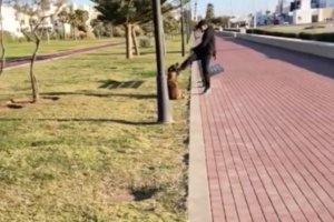 Maltrato al animal realizado en plena calle.