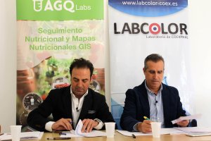 Firma de los representantes de ambas entidades