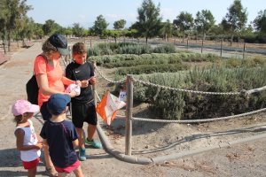 Deporte en la naturaleza.