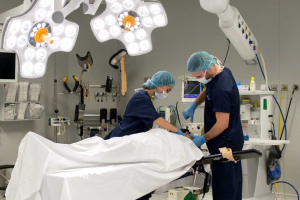 Una intervención en el Hospital Mediterráneo.