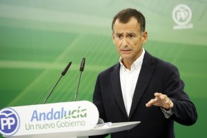 Pablo Venzal, parlamentario del PP.