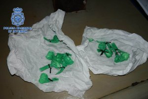 Imagen de la droga intervenida tras la actuación policial.