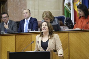 Carmen Crespo, en el debate de investidura.