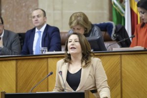 Carmen Crespo en la sesión de investidura.