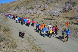 Una edición anterior de la ruta.
