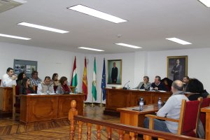 Pleno celebrado en el ayuntamiento de Pulpí.
