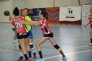 Balonmano del balonmano.