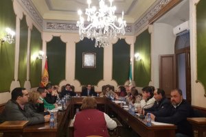 Sesión plenaria celebrada en el Ayuntamiento de Berja.
