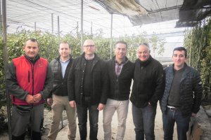 Técnicos agrícolas junto al concejal de Agricultura de El Ejido.