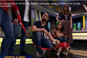 Ariel en su paso por el programa de Pablo Motos.