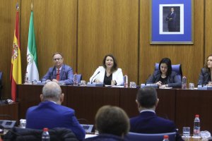 Carmen Crespo durante su comparecencia.