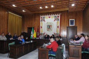 Un momento de la sesión plenaria celebrada.