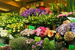 Fuerte aumento de las exportaciones de flores y plantas vivas