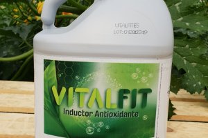 Envase del producto que comercializa Timac Agro