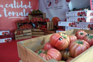 Stand de CASI en el Paseo de Almería