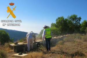 La Guardia Civil inspecciona algunas de las colmenas.