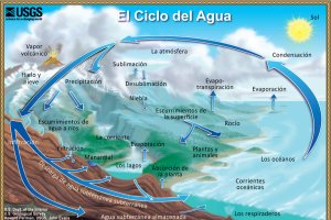 Ocurre desde hace millones de años y es básico para la vida.