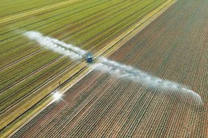 La medida no ha entrado en vigor todavía pese a cumplirse un año desde su aprobación.