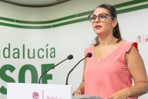 La parlamentaria almeriense, Noemí Cruz.