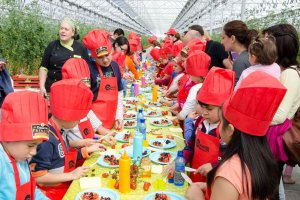Los escolares pudieron descubrir la calidad de los tomates de Caparrós Nature