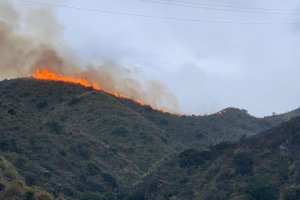 Imagen del incendio cedida por Bomberos del Levante.